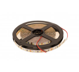 Светодиодная лента Белая (6000-6500К) SMD 2835, 120 диодов/метр. Бобина - 5 м